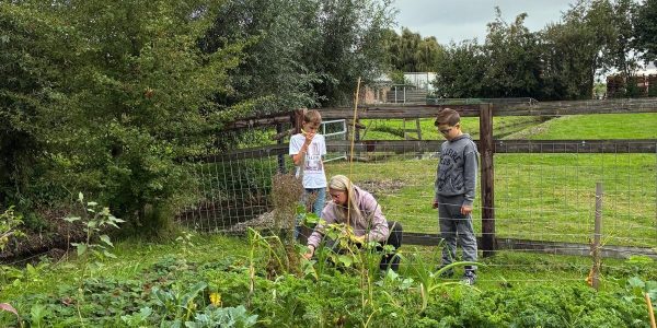 De moestuin bij Floor en Fauna